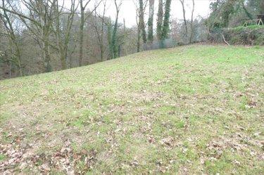 Terrain de loisirs - Bois - Etang à vendre à Ambrières-les-Vallées en Mayenne (53300), ref : 53075DLS23030 Terrain de loisirs - Bois - Etang à vendre à Ambrières-les-Vallées en Mayenne (53300), ref : 53075DLS23030 Terrain de loisirs - Bois - Etang à vendre à Ambrières-les-Vallées en Mayenne (53300), ref : 53075DLS23030