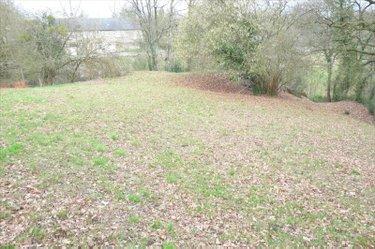 Terrain de loisirs - Bois - Etang à vendre à Ambrières-les-Vallées en Mayenne (53300), ref : 53075DLS23030 Terrain de loisirs - Bois - Etang à vendre à Ambrières-les-Vallées en Mayenne (53300), ref : 53075DLS23030 Terrain de loisirs - Bois - Etang à vendre à Ambrières-les-Vallées en Mayenne (53300), ref : 53075DLS23030