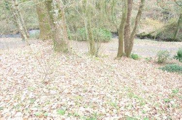 Terrain de loisirs - Bois - Etang à vendre à Ambrières-les-Vallées en Mayenne (53300), ref : 53075DLS23030 Terrain de loisirs - Bois - Etang à vendre à Ambrières-les-Vallées en Mayenne (53300), ref : 53075DLS23030 Terrain de loisirs - Bois - Etang à vendre à Ambrières-les-Vallées en Mayenne (53300), ref : 53075DLS23030