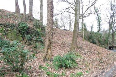 Terrain de loisirs - Bois - Etang à vendre à Ambrières-les-Vallées en Mayenne (53300), ref : 53075DLS23030 Terrain de loisirs - Bois - Etang à vendre à Ambrières-les-Vallées en Mayenne (53300), ref : 53075DLS23030 Terrain de loisirs - Bois - Etang à vendre à Ambrières-les-Vallées en Mayenne (53300), ref : 53075DLS23030