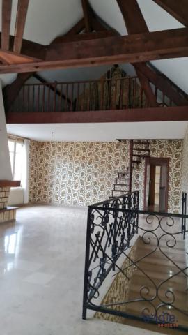 VENTE d'une maison F10 (225 m²) à MEAULNE