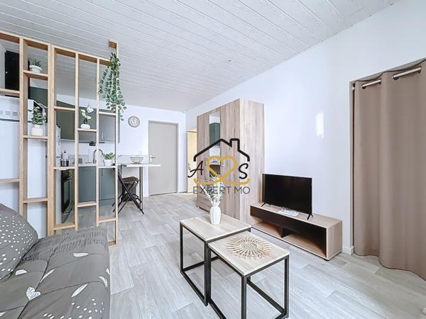 Billom (63160) STUDIO MEUBLÉ ENTIÈREMENT RÉNOVÉ À BILLOM