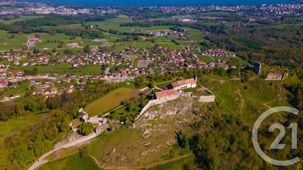 Terrain à vendre  902 m2 ALLINGES - 74