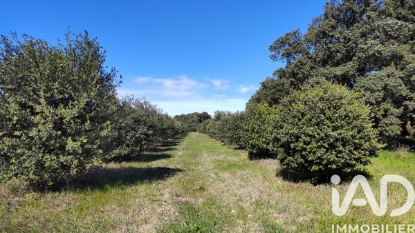 Terrain à vendre 4 400 m² Camaret-sur-Aigues