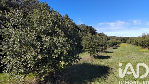 Terrain à vendre 4 400 m² Camaret-sur-Aigues
