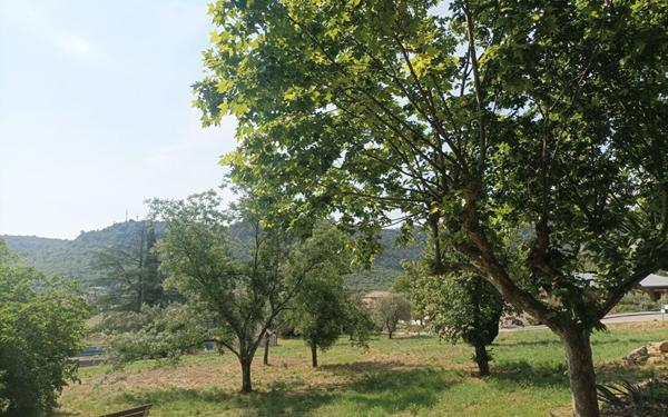 Appartement à louer    1 pièce •  Les Vans