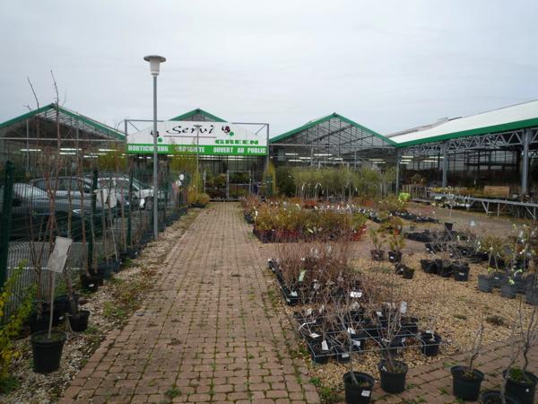 Château-Thierry à louer un ensemble de serres commerciales de 1022 m2 sur un terrain de 4158 m2