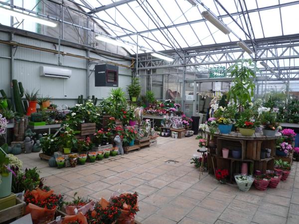 Château-Thierry à louer un ensemble de serres commerciales de 1022 m2 sur un terrain de 4158 m2