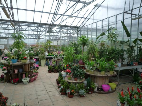 Château-Thierry à louer un ensemble de serres commerciales de 1022 m2 sur un terrain de 4158 m2