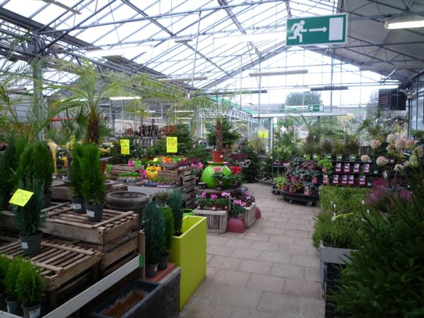 Château-Thierry à louer un ensemble de serres commerciales de 1022 m2 sur un terrain de 4158 m2