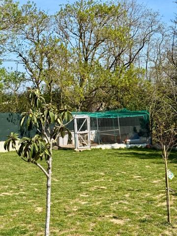 Maison à vendre 9 pièces VILLEMOUSTAUSSOU (11)194m2 habitable, 5 chambres, terrain 1858m2 piscine