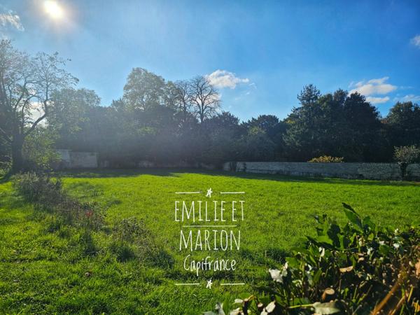 À vendre : Terrain rare de 1632 m² hors lotissement, non viabilisé, SAINT GEORGES DU BOIS (17), proche SURGERES