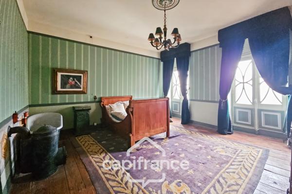 Ancien hôtel particulier de 7 Chambres avec terrasse toit, jardin, salle de cinéma, salle de théâtre, divers salons