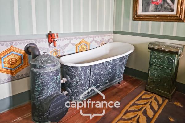 Ancien hôtel particulier de 7 Chambres avec terrasse toit, jardin, salle de cinéma, salle de théâtre, divers salons