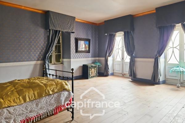 Ancien hôtel particulier de 7 Chambres avec terrasse toit, jardin, salle de cinéma, salle de théâtre, divers salons