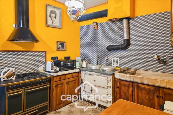 Ancien hôtel particulier de 7 Chambres avec terrasse toit, jardin, salle de cinéma, salle de théâtre, divers salons