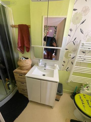 Immeuble de rapport à vendre à Le Mans dans la Sarthe (72000), ref : 13816/1193   
CHASSE ROYALE