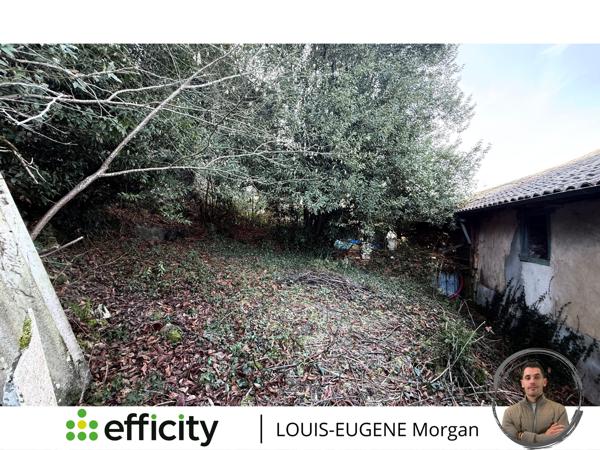 Maison 3 pièces - 67 m² Exclusivité efficity