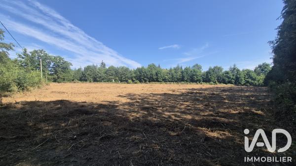 Terrain à vendre 2 972 m² Royères