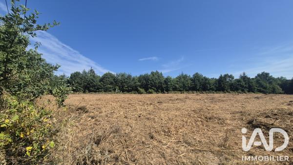 Terrain à vendre 2 972 m² Royères