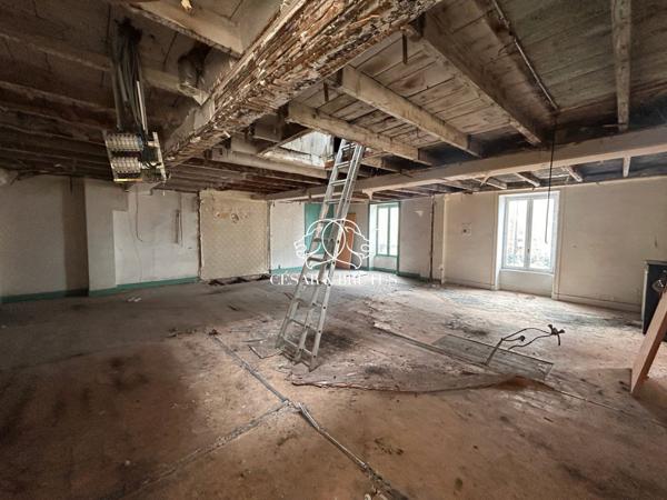 Immeuble de 758 m2 : 7 appartements, 3 locaux commerciaux, cour intérieure et caves