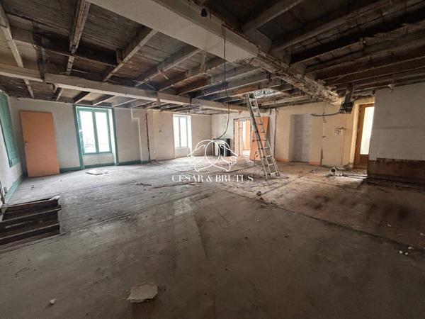 Immeuble de 758 m2 : 7 appartements, 3 locaux commerciaux, cour intérieure et caves