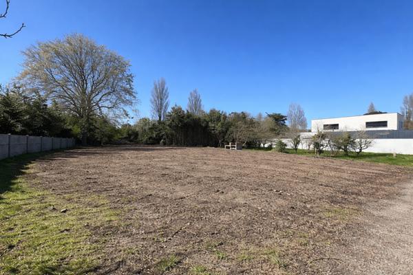Terrain - Rue de la parée - Viabilisé