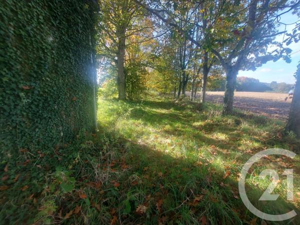 Maison à vendre  9 pièces - 250 m2 HEDE BAZOUGES - 35