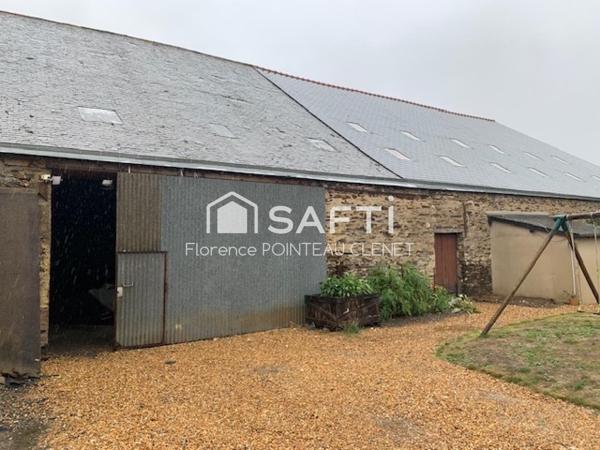 LOCAL COMMERCIAL 800 M2 (Commerce et stockage)