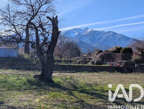 Terrain à vendre 956 m² Vinça