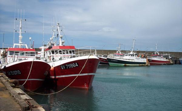 Située à Saint-Guénolé, au cœur du Pays Bigouden, l’un des plus importants ports de pêche de France, cette maison bénéficie d’un emplacement privilégié. Nichée dans un quartier calme et recherché, à mi-chemin entre le port et la célèbre Tour Carrée, elle a été entièrement rénovée en 2021 avec goût.

Dès l’entrée, vous serez séduit par la belle luminosité du vaste double séjour. Celui-ci s’ouvre sur une agréable véranda donnant accès à un jardin clos, arboré et parfaitement exposé plein sud, véritable invitation à la détente.

Le rez-de-chaussée offre également une chambre, une salle d’eau moderne ainsi que des toilettes indépendantes, permettant une vie de plain-pied.

À l’étage, vous découvrirez deux belles chambres, une seconde salle d’eau et des toilettes séparées, offrant un espace confortable pour accueillir famille et amis.

Un véritable atout complète ce bien, une arrière cuisine et un bureau à l'étage. Il pourra facilement devenir un espace dédié à une activité professionnelle.

Une remise vient parfaire l’ensemble, idéale pour le rangement de votre matériel, un atelier de bricolage ou un espace consacré à vos loisirs créatifs.

Un bien rare sur le secteur, alliant confort, fonctionnalité et emplacement de qualité.

Contactez dès aujourd’hui Edith, en exclusivité, pour organiser votre visite et découvrir tout le potentiel de cette maison.