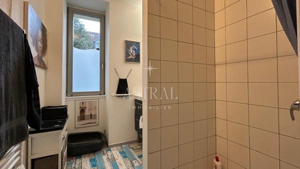 Immeuble 2 appartements et jardin Mulhouse