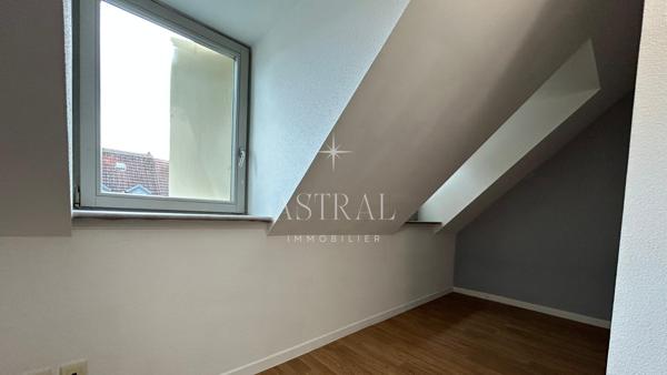 Immeuble 2 appartements et jardin Mulhouse