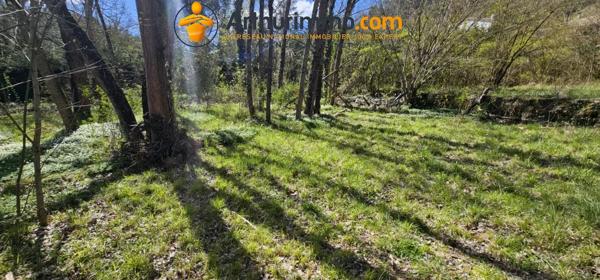Vente                                                      Maison
                        
                     2 pièces                      105 m2                     à Rennes-les-Bains