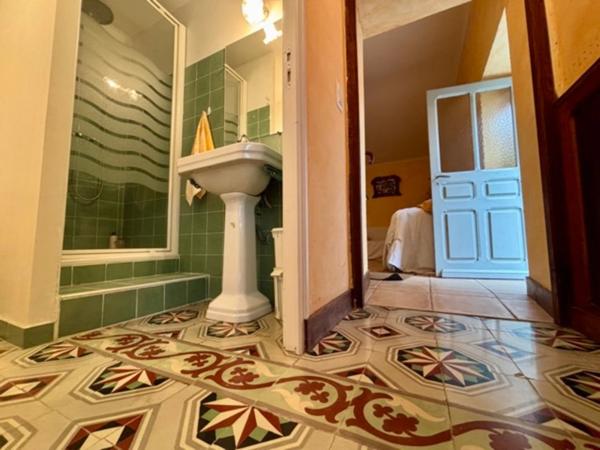 Dpt Hautes Pyrénées (65), à vendre TRIE SUR BAISE Maison T5 de 113 m² habitables sur 810 m² de terrain