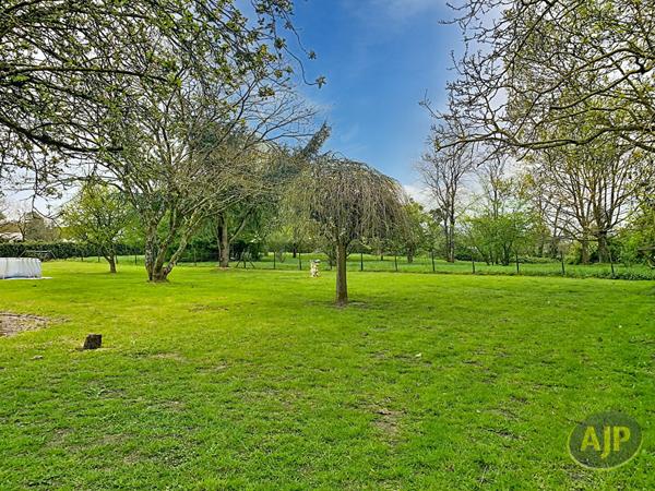 Vente maison Pouance : 216 380 € - AJP Immobilier Segré