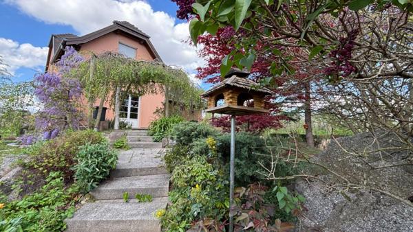 Maison Colmar 12 pièce(s) 370 m2