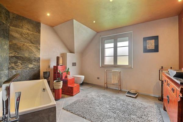 Maison Colmar 12 pièce(s) 370 m2