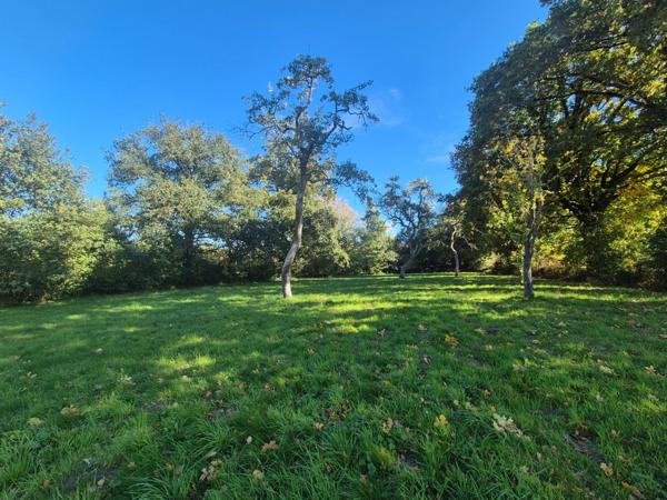 Maison à vendre 4 pièces ORSENNES (36)