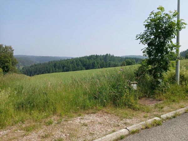 Terrain à vendre de 950,00 m² DUNIERES (43)