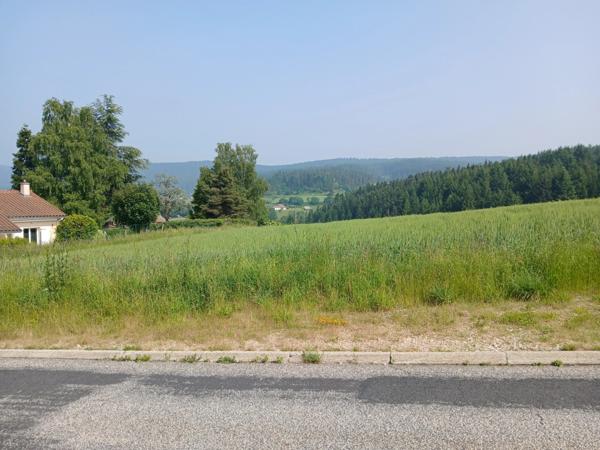Terrain à vendre de 950,00 m² DUNIERES (43)