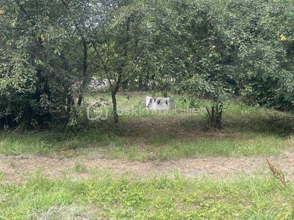 Maison ancienne de 100 m²