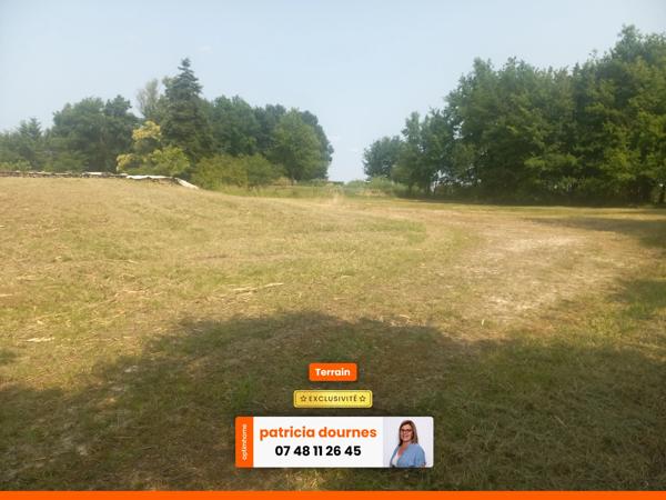 Vierzon terrain viabilisé de 3000m2 au calme hors lottissement