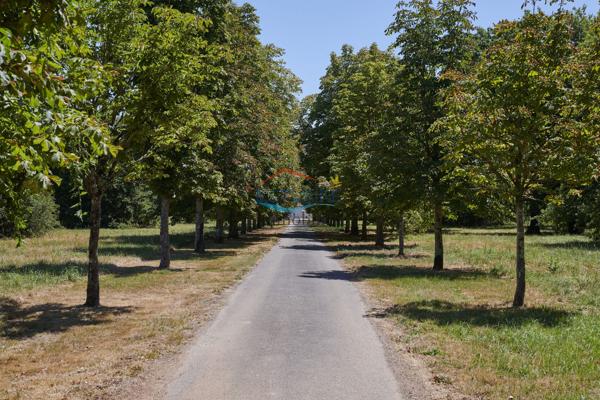 Maison ancienne à vendre, 10 pièces - Vertou 44120