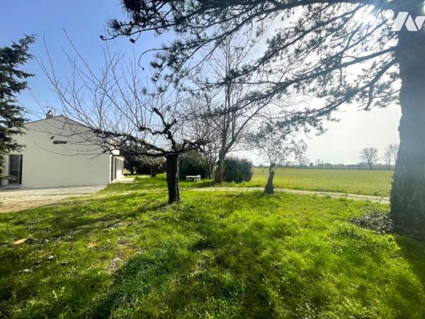 Maison plain pied 4 chambres campagne Arlésienne