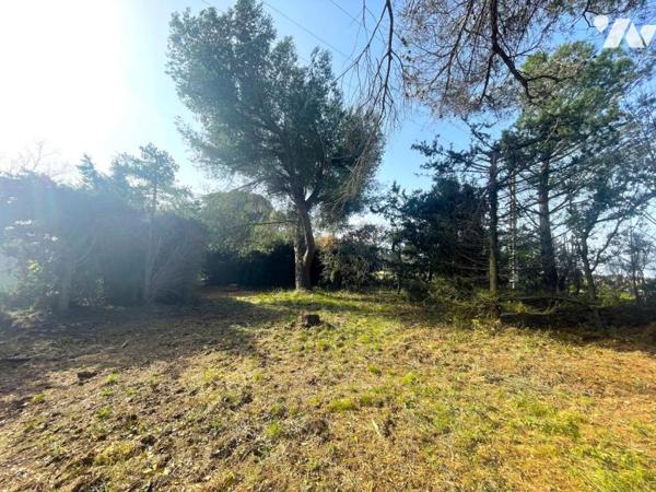 Maison plain pied 4 chambres campagne Arlésienne