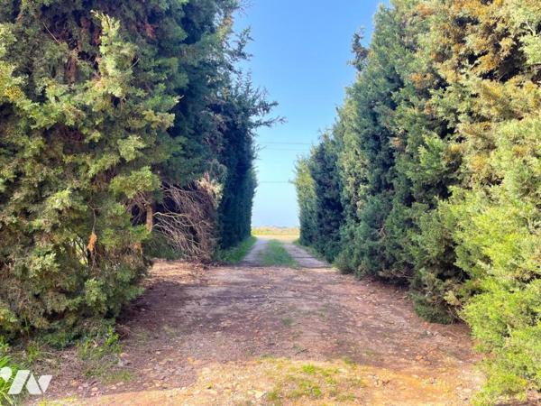 Maison plain pied 4 chambres campagne Arlésienne