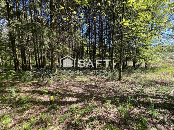 Terrain constructible d'environ 5000m2