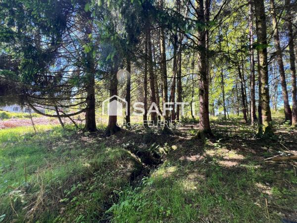 Terrain constructible d'environ 5000m2