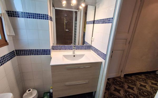 Maison à vendre    8 pièces •  Céret